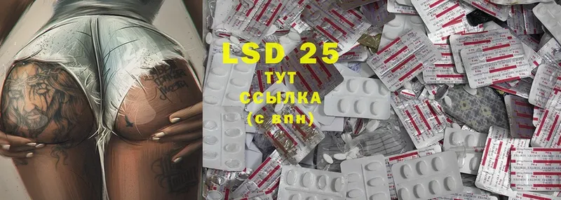 KRAKEN ссылки  Грозный  Лсд 25 экстази ecstasy 